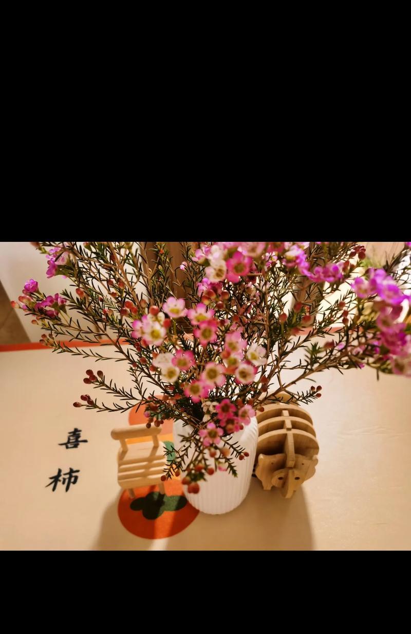 荷花养殖泥的选择与利用技巧（打造荷花养殖的理想水质环境）