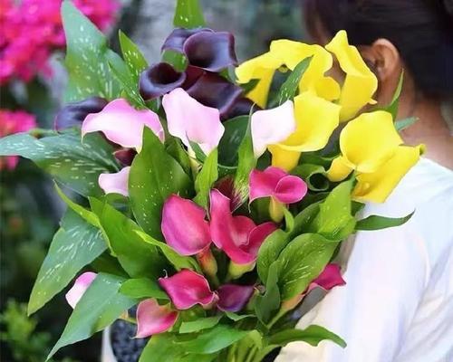 以马蹄花养护全攻略（让你的马蹄花美丽盛开的关键诀窍）