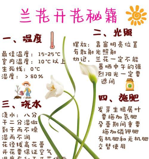 兰草开花时间和花期的全面解析（了解兰草的开花规律，把握最佳观赏时间）