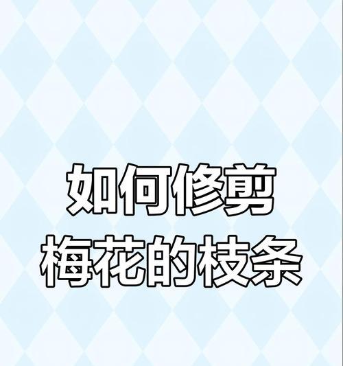 如何修为以梅花盆景为主题的艺术作品（创造独特的梅花盆景作品，展现修为精神）