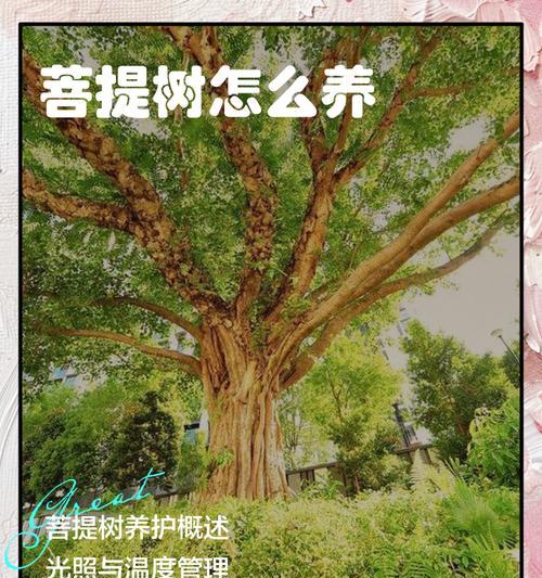 新鲜树苗的养护指南（让树苗茁壮成长的关键步骤）