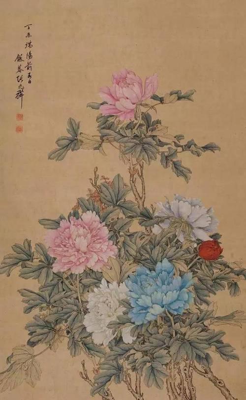 牡丹花，中国之花的象征（从帝王到文人，牡丹各有寓意）