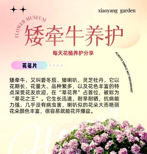 牵藤花卉的养护指南（掌握正确的牵藤技巧，让花草更健康）