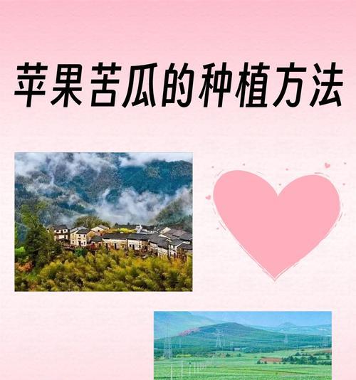 苹果苦瓜的种植技巧（选择适宜的月份，打造高产的苹果苦瓜田）