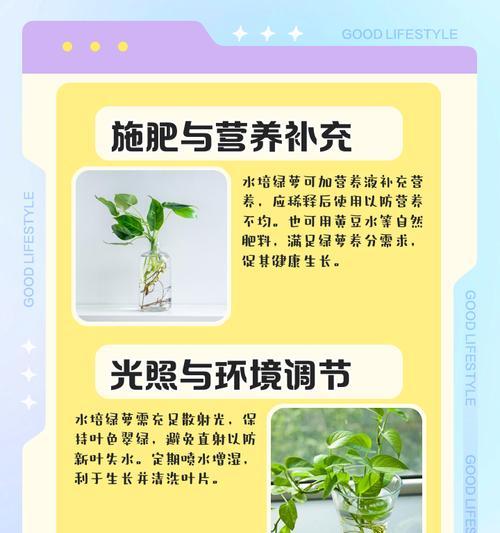 如何正确浇水绿萝？（绿萝养护指南，让你的绿萝茁壮成长！）