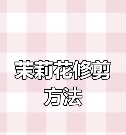 如何剪枝茉莉花以促进开花（茉莉花剪枝技巧与注意事项）