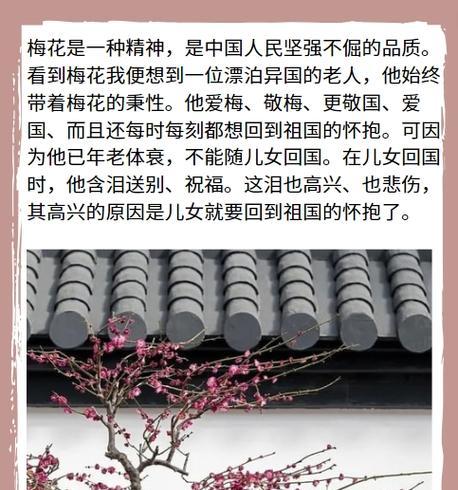 梅花探秘（一朵含苞待放、香气四溢的美丽花朵）