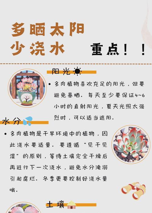 室内多肉怎么通风？（提升室内多肉生长的关键技巧）