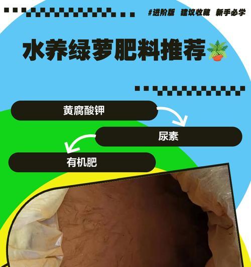 夏季绿萝怎么施肥？（夏季绿萝的施肥方法和注意事项）