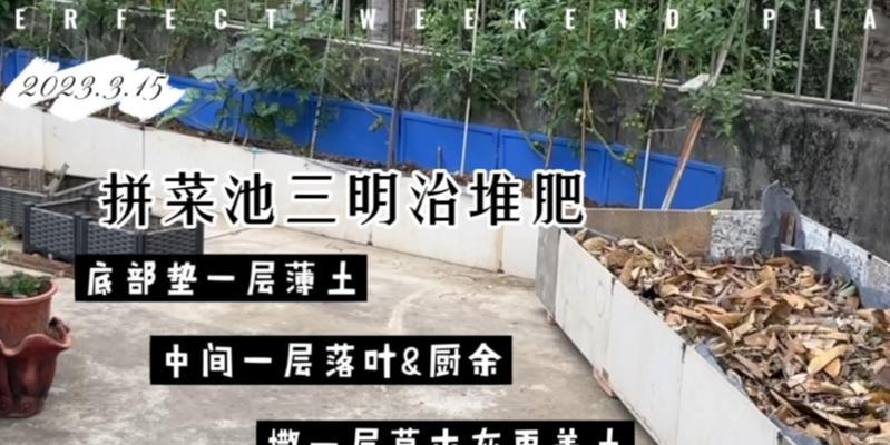 楼顶种菜地的肥料施用技巧（提升楼顶蔬菜生长质量的关键）