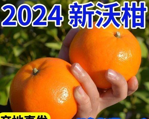桔子花皮怎么治？探寻有效疗法（纯天然方法，轻松去除桔子花皮）