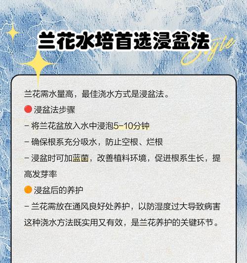 水培兰花的冬季养护指南（如何在水培中正确过冬）