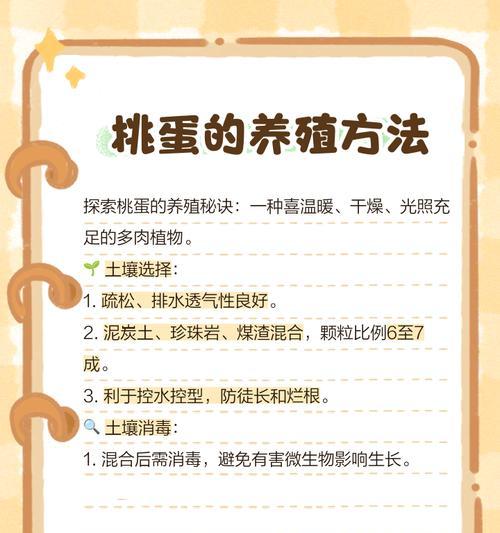 以多肉桃蛋枝插怎么养护（养护多肉桃蛋枝的方法及技巧）