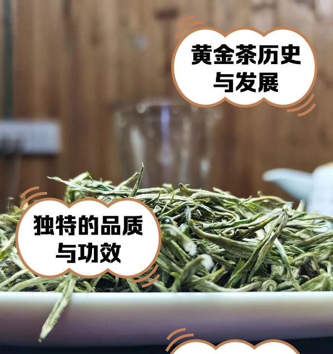 探究黄金茶的功效作用（一款独特的草本茶，解决你的健康问题）
