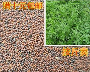 探秘辣菜和雪里红（了解这道经典川菜及其独特的制作工艺）