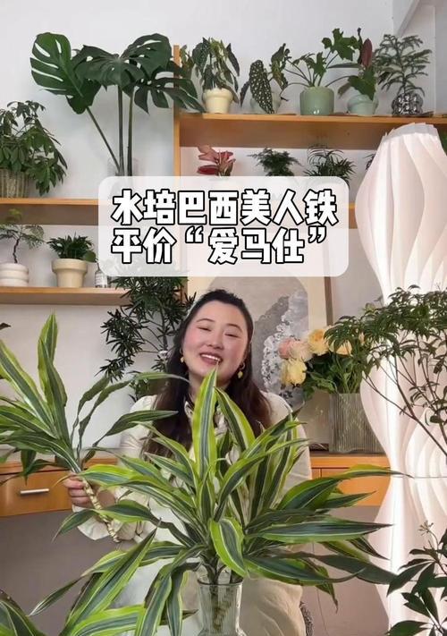 美丽花卉的培养与养护指南（打造花园中的绚丽风景，以花卉美人指怎么养）