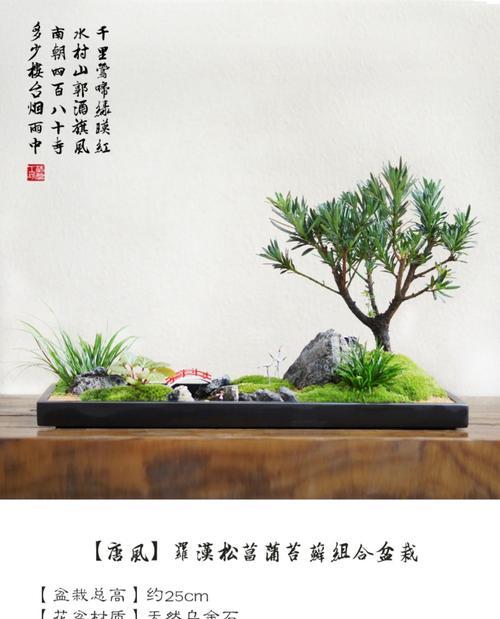 苔藓繁殖的技巧与方法（以盆景中的苔藓为例，探讨其繁殖过程及关键要点）