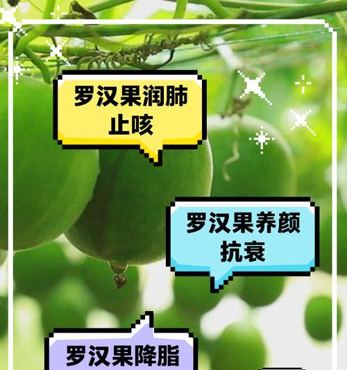 罗汉果病毒病的预防与治疗（了解病毒性疾病，做好预防工作）