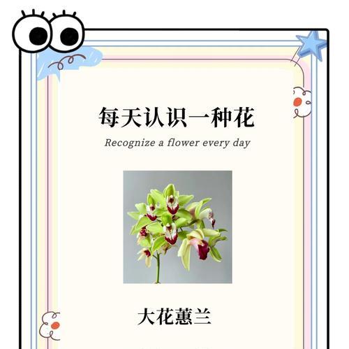 以花种怎么催种（探索有效的花种催化方法）