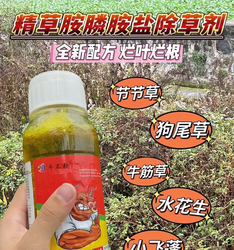 烂草处理方法——资源化利用与环保（探索烂草处理的可持续发展途径）