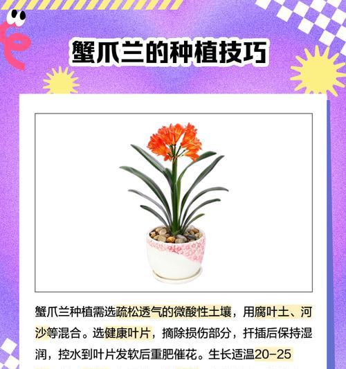 蟹爪兰换土（掌握正确的换土技巧，打造健康的蟹爪兰）