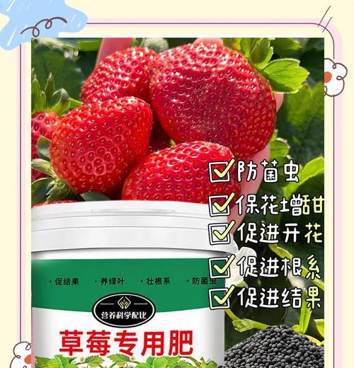 草莓的生长习性——喜水与耐旱（探究草莓的水分需求及其调节机制）