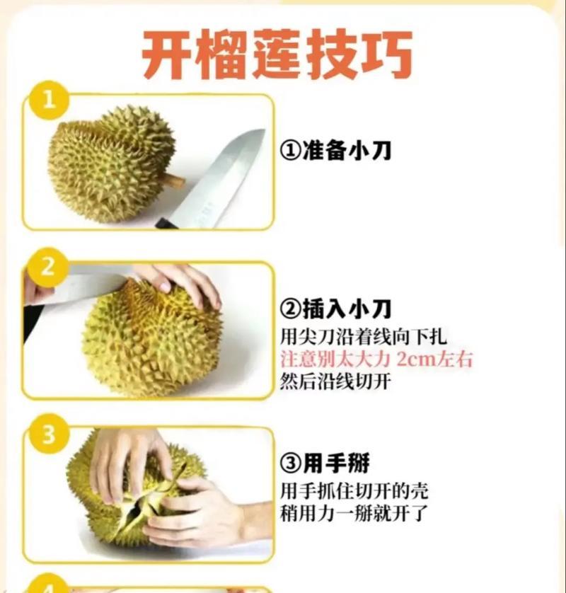 榴莲子的用途和方法（丰富口感的美食之旅）