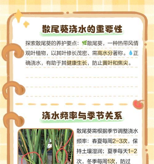 如何正确浇水散尾竹，保持叶子的健康（水分控制要点和浇水频率）