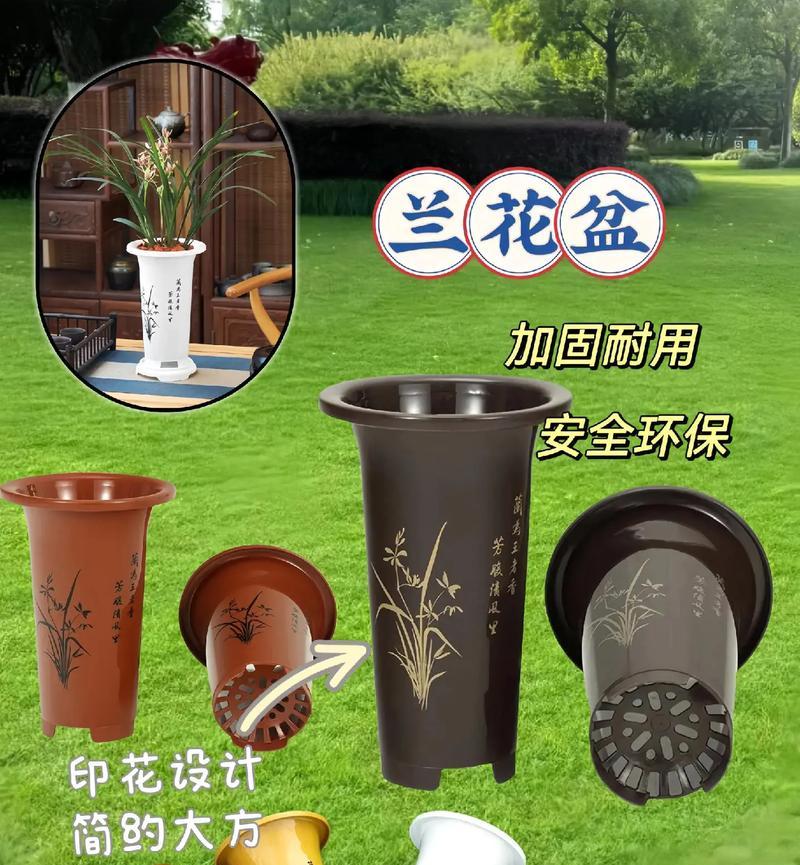 选用什么花盆让兰花更美丽？（美化家居环境，选择合适花盆很重要！）