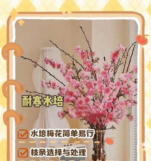 梅花移盆后的浇水技巧（养梅必备！梅花换盆后这样浇水）