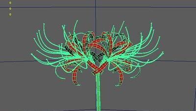 彼岸花花葶的剪裁技巧（打造美丽彼岸花花葶，掌握这些技巧关键！）