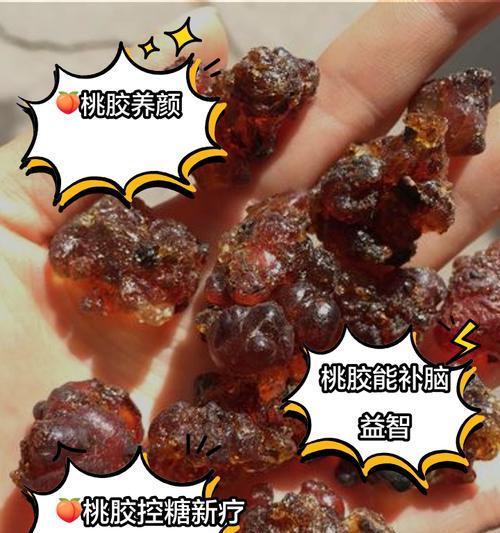 如何用药物提高桃树产量？（掌握这些技巧，让桃树长得高产又健康！）