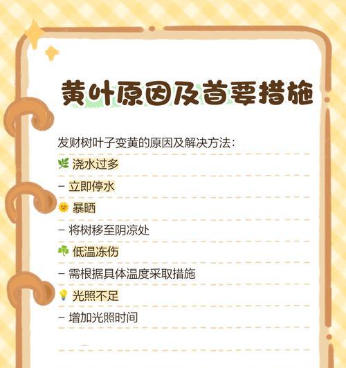发财叶子发黄如何应对（从营养、光照、湿度等方面提高植物健康）