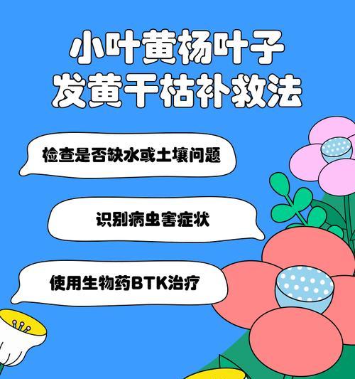 室内植物树叶发黄的原因和解决方法（室内植物为什么会发黄？如何挽救？）