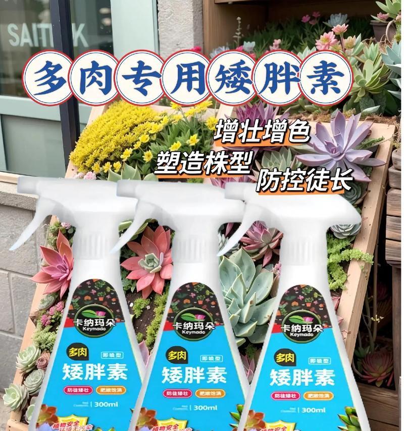 普通营养液能否适用于多肉植物的养护？（探究营养液对多肉植物的适用性及注意事项）