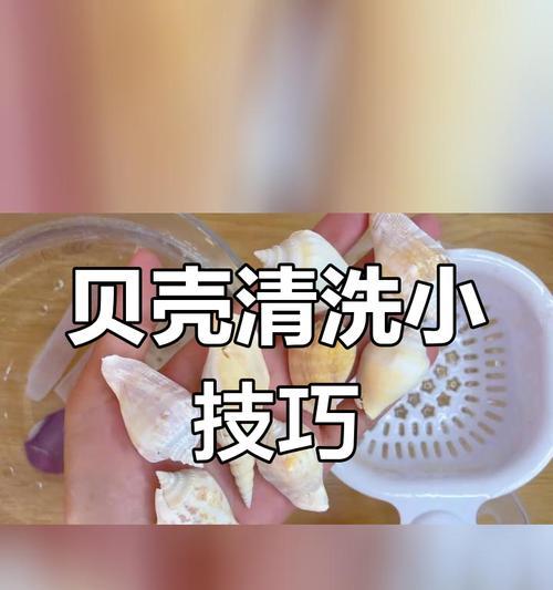 贝壳养殖之道（探寻贝壳养殖的秘密，助你成功养殖贝壳的关键）